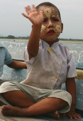 Наше будущее. (Маленький бирманец. Фото Лимарева Олега.)